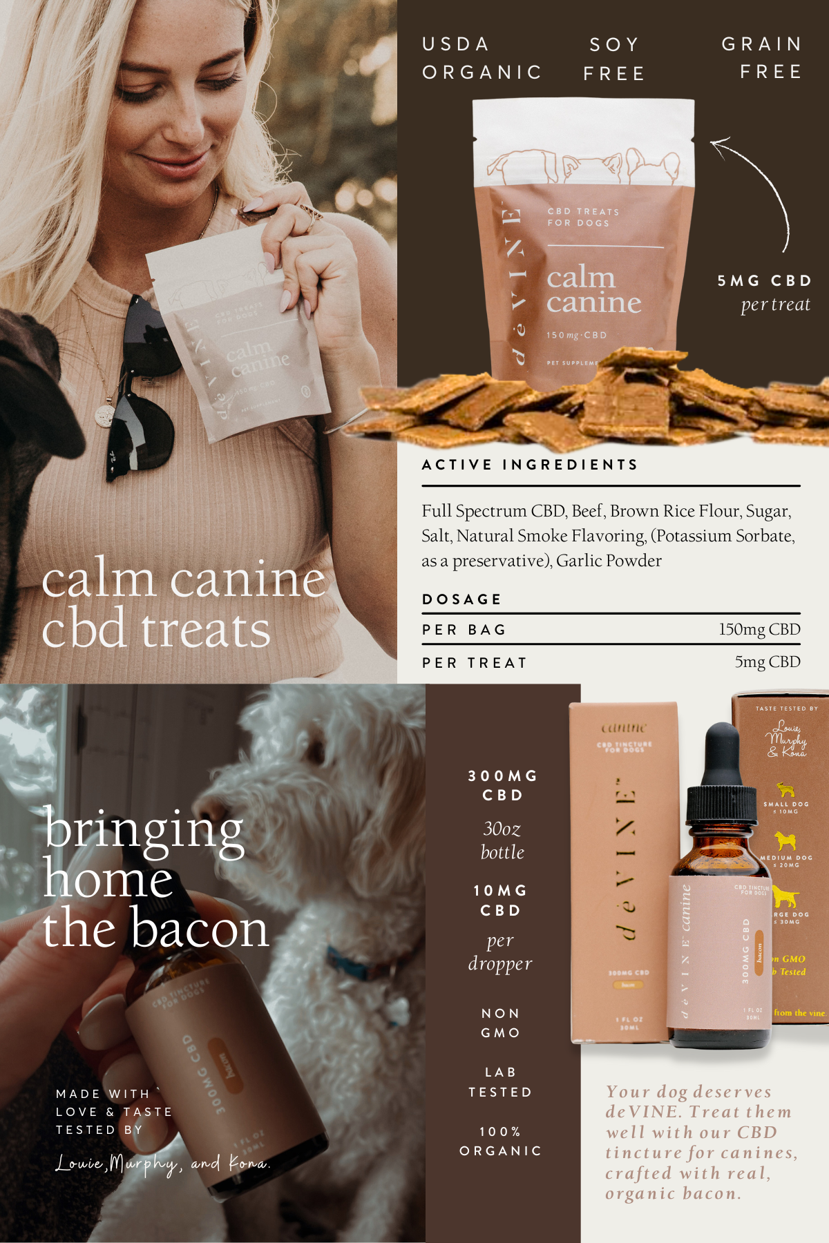Marketing Flyers