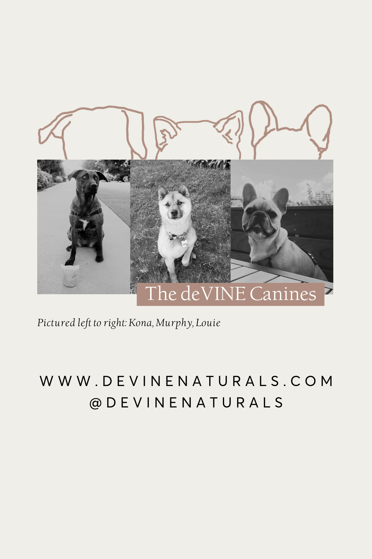 Marketing Flyers