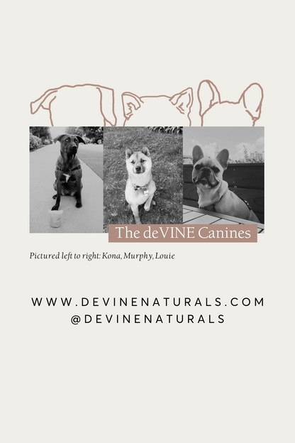Marketing Flyers