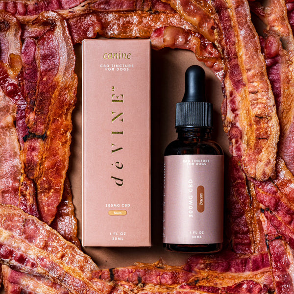 deVINE Canine Tincture – deVINE Naturals