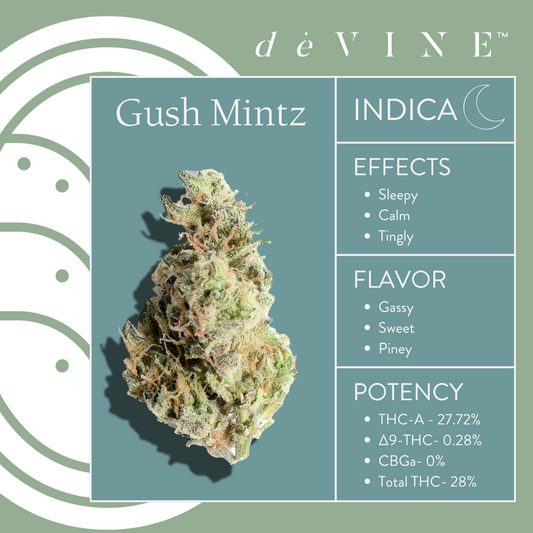 Gush Mintz Indica Flower